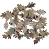 Rhizome Systems Leaf Pack